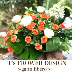 AWt[ sNn Fn Ԍn n IWn t[AWg AWgt[  Mtg v[g G߂̉ a LO j CeA 킢 