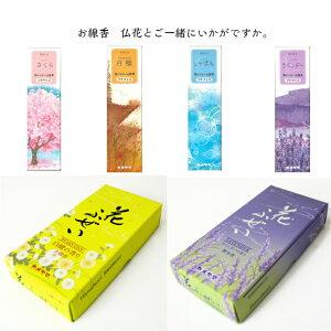 yz@ԂƂꏏɁI@Ԃӂ@Ԃv`@ނ肪Ȃ@ԁ@J}@ڂ@h@x_[@