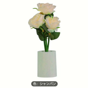 yzԂ̏ƖBdrgpAd@CeA@ԁ@o@KN@ЊQALO@hV̓@ފ݁@hV@rO@@LED