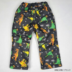 hpc hpc LbY q Xm[pc XL[pc jZbNX 80cm 90cm 100cm 110cm 120cm 130cm XL[ XP[g Xm[{[h V OV EC^[X|[c   ʉ ʊw 