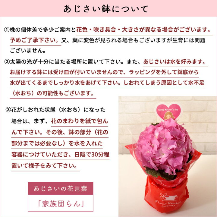 楽天市場 母の日 プレゼント 花 ギフト 選べる花鉢 リースカーネーション アジサイ ケイトウ アートフラワーリース 母の日ギフト 花鉢 鉢植え リース 5号 送料無料 一部地域を除く 22 Fkhh Fktk Flowerkitchenjiyugaoka