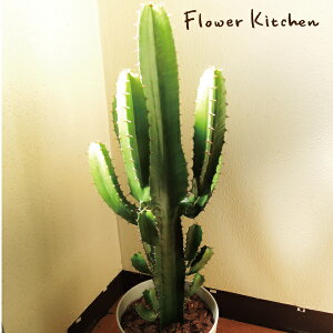 w_tx 7 () [tHrA yzMtg Ă₷ ϗtA A CeA A JX z j zj Vzj a CeA X^CbV C