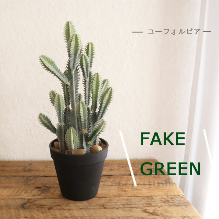 楽天市場 送料込み フェイク ユーフォルビア ポット 31 造花 サボテン ユーフォルビア 多肉植物 人工観葉 フェイク グリーン インテリア Fktk Flowerkitchenjiyugaoka
