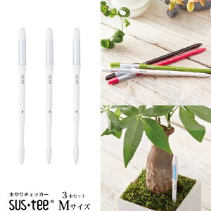 y3{ZbgłIzw MTCY 3{Zbg TXeB[ zCg Apv xlR|X yz ̃^C~OApv 3`6p MTCYv sustee 