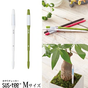 w MTCY 1{ TXeB[ Apv x ylR|Xz ̃^C~OApv 3`6p MTCYv sustee K[fjO ϗtA A   y 