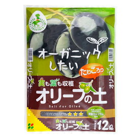 楽天市場 観葉植物 赤玉土の通販
