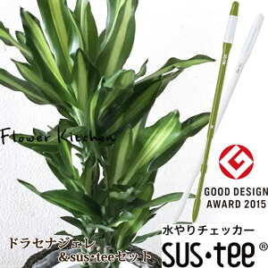 yϗtzhZiWF7 + IׂJ[ TXeB[L@v sustee IYn S̕i yzK[fjO ϗtA Ap JXj j FKTK