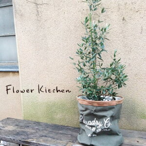 wM󉀃I[u8×h[obO J[LxMtg ϗtA I[u I[u̖ ЂȂ `vbV[m A a JX z j zj Vzj CeA FKTK