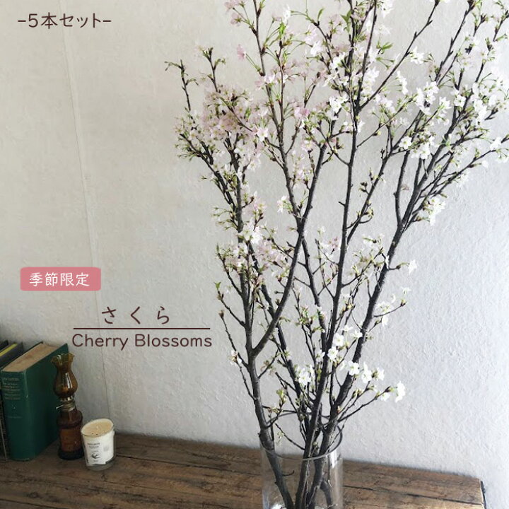 楽天市場 送料無料 季節の選べる素材サクラ5本 ユーカリ10本 フェイジョア6本 アオモジ6本 日時指定不可 植物 生花 枝物 北海道 中国 四国 九州 沖縄 離島へのお届け不可ナチュラル グリーン インテリア Fktfs Flowerkitchenjiyugaoka