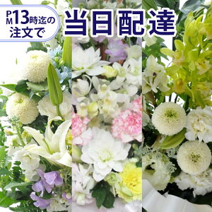 y13܂ł̂Ŗ{͂z݁EE@EEɂ傤ԓ} {͂y~zy݁zyԁz yybgz}ySlbg[N̓C[t[