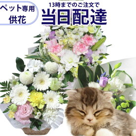 楽天市場 花 当日配達 ペット お悔やみの通販 楽天市場 花 当日配達 ペット お悔やみの通販