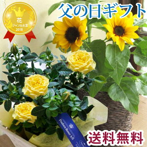 ひまわり 鉢植えの人気商品 通販 価格比較 価格 Com ひまわり 鉢植えの人気商品 通販 価格比較 価格 Com