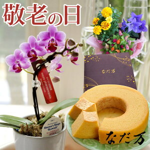 生花 プレゼントの通販 価格比較 価格 Com