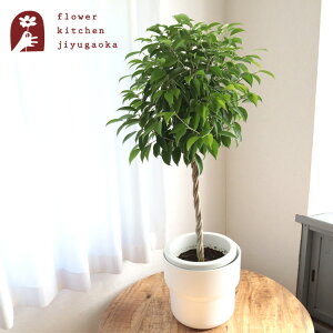 yyzϗtA xW~ 8 +kX^CJS tH[Ok CeA oXPbg ϗtA A ̔ a JX zj Vzj CeA yzA