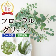 【クール便】選べる季節の枝物 フローラルグリーン 枝物 枝もの インテリア 花束 生花 切り花 送料無料 …