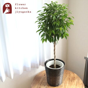 yyzϗtA xW~ 8 +JS k CeA oXPbg ϗtA A ̔ a JX zj Vzj CeA yzA ŋz FKTK