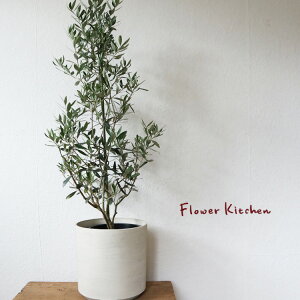 w M8 I[u ~[EhEzCg Iׂi xAK187  I[u 8 ^ Mtg Ă₷ ϗtA a j@FKTK