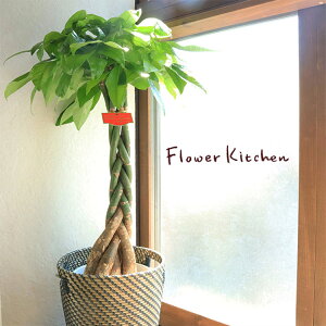 iϗtjw pL 8 kX^C JSt x [ORyJStzy󂯎MtzĂ₷ A ̔ a JX z j zj Vzj CeA RAGKORN 80213776 y