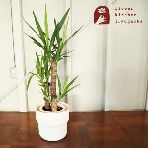 yyz ϗtAbJ 7 + kX^C tH[O Jo[ N̖ ϗt  k FORENLIG j JXj zj v[g Mtg ŋz FKTK