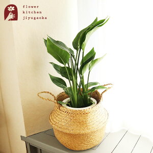 yyz7 Xg`AI[KX^{kX^C FLADIS Jo[ZbgϗtA A ̔ a JX zj Vzj CeA yzA O[ Mtg @l ŋ