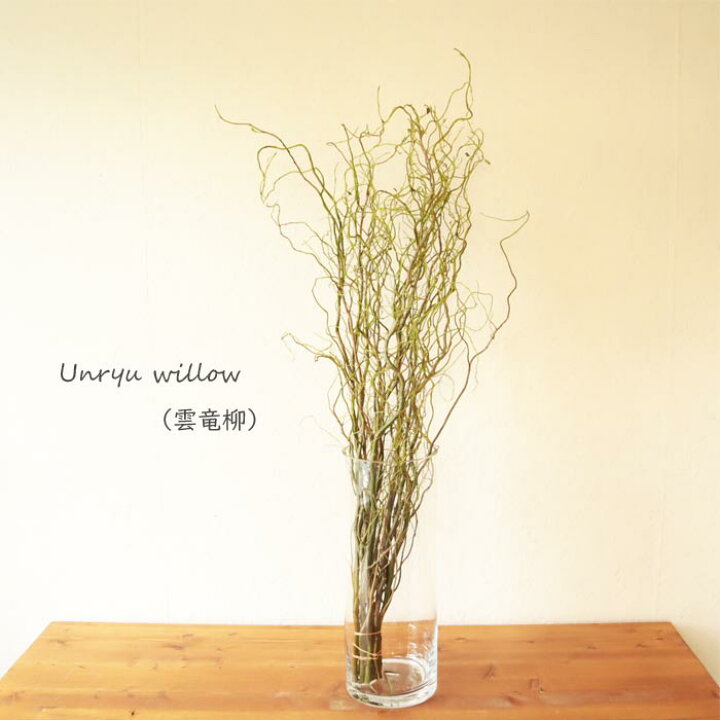 楽天市場 送料無料 季節の選べる素材コットンツリーー3本 アセビ4本 グリーンアナベル3本 雲竜柳10本 ロシアンオリーブ10本 日時指定不可 植物 生花 枝物 北海道 中国 四国 九州 沖縄 離島へのお届け不可ナチュラル グリーン インテリア Fktfs Flowerkitchenjiyugaoka