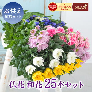 y܂ԁEa25{Zbgz ԃZbg   䋟  Q  @   @v  Q ~ V~ ~ ފ r FKTFS