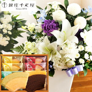 yyzyDz  َq Zbg mԂg ̂AWMTCYMTCY+yDzut[cN[wv8Zbg AWg bZ[WJ