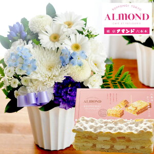 yyzԂƃXC[c̃ZbgmԂg{̂܂  STCY+Z{؃A}hu`[Y~tB[v AWg bZ[WJ[h ~ ފ   