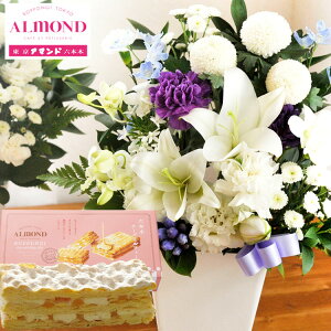 yyzԂƃXC[c̃ZbgmԂg mԂg ̂AWMTCYMTCY+Z{؃A}hu`[Y~tB[vZbg AWg bZ[WJ[h 