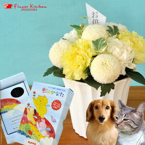 ybĝyZbgznewD CG[ybgpŷȂzMtgZbgJ}[\NV~ ~ ~ ފ @   ybg     r