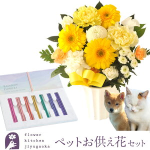 ԁ@AWƃybgZbg@ybĝK[xAWƃybguC{[v y@  ~ ފ r @   @v ŋz
