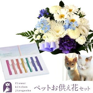ԁ@AWƃybgZbg@mԂg{̂܂  STCY ƃybguC{[v y@  ~ ފ r @   