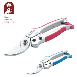 SJ ΂ sN u[ ͂ |pi K[fjOpi ϗtA  lR|XiG݁jFKTS