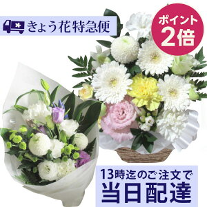 y|Cg2{zy13܂ł̂Ŗ{͂zyzr   @   傤ԓ}  }ցyԁzySlbg[N C[t[ 