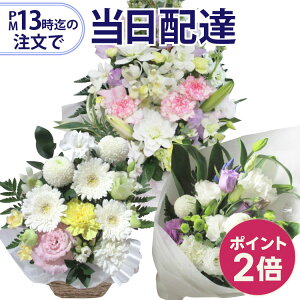 y|Cg2{zy13̒Ŗ{͂z p@ԉ̒ڔzB傤ԓ}ւpyԁzySlbg[N C[t[  ԃL[sbg ł͂z~ 