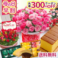 ＼早割実施中／ 母の日 カーネーション プレゼント 花 選べる花鉢 花とスイーツ ギフト 鉢植え 生花 5号 …