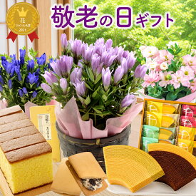 敬老の日 花 ギフト 選べる20種 花鉢 鉢植え 「9/18-21でお届け」 スイーツ 和菓子 プレゼント ベスト 鉢花 リンドウ トルコキキョウ 花とスイーツ 花とお菓子 生花 お花 おしゃれ 孫 フラワーギフト お祝い 贈り物 カステラ 千疋屋 フラワーキッチン自由が丘 FKKE
