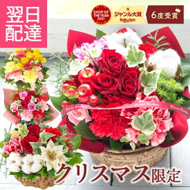 【最短翌日★14時〆】誕生日 花 ギフト 季節のアレンジメント ブーケ フラワーアレンジメント バラ カーネーション アレンジメント 花束 ブーケ プレゼント フラワーギフト お花 生花 贈り物 薔薇 おしゃれ クリスマス お正月 フラワーキッチン 最強配送 送料無料 FKAA