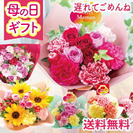 遅れてごめんね！母の日 プレゼント 花 ギフト カーネーション 選べる13種 アレンジメント ブーケ 花束 M…