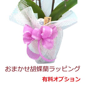 楽天市場 ラッピング 鉢 花材 フラワーアレンジメント資材 花 観葉植物用品 花 観葉植物 花 ガーデン Diyの通販