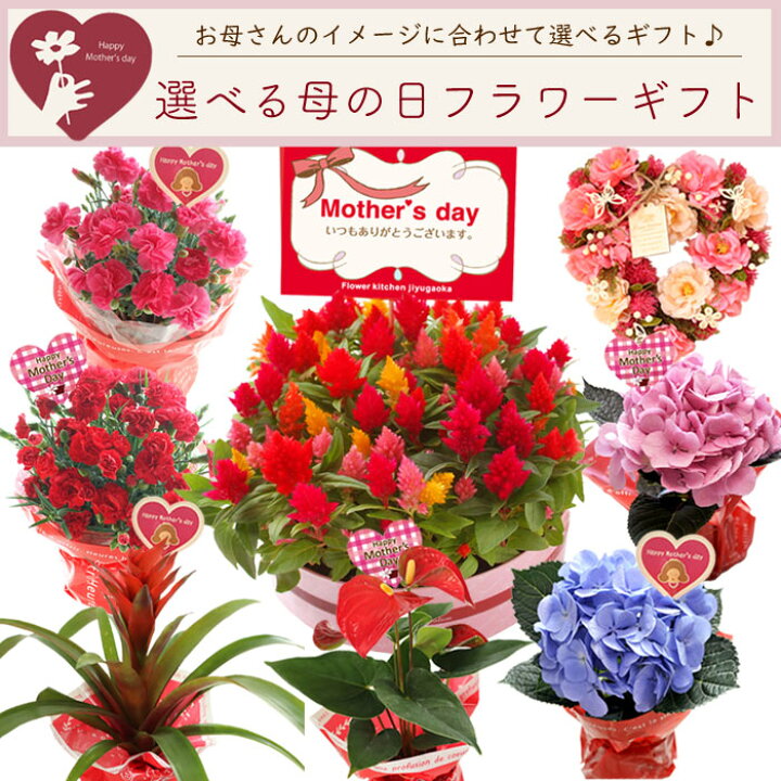 楽天市場 まだ間に合う ポイント3倍 まだ間に合う 母の日 プレゼント 花 ギフト 選べる花鉢 リースカーネーション アジサイ ケイトウ アートフラワーリース 母の日ギフト 花鉢 鉢植え リース 5号 送料無料 一部地域を除く 22 Fkhh Flowerkitchenjiyugaoka