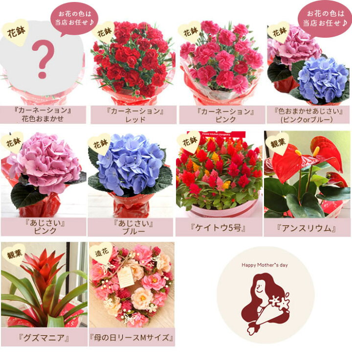 楽天市場 母の日 プレゼント 花 ギフト 選べる花鉢 リースカーネーション アジサイ ケイトウ アートフラワーリース 母の日ギフト 花鉢 鉢植え リース 5号 送料無料 一部地域を除く 22 Fkhh Fktk Flowerkitchenjiyugaoka 楽天市場 母の日 プレゼント 花 ギフト 選べる花鉢 リースカーネーション アジサイ ケイトウ アートフラワーリース 母の日ギフト 花鉢 鉢植え リース 5号 送料無料 一部地域を除く 22 Fkhh Fktk Flowerkitchenjiyugaoka