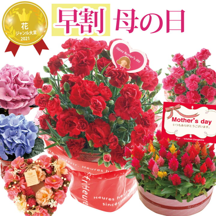 楽天市場 早割 まもなく終了 母の日 プレゼント 花 ギフト 選べる花鉢 リースカーネーション アジサイ ケイトウ アートフラワーリース 母の日ギフト 花鉢 観葉 鉢植え 送料無料 一部地域を除く 沖縄県 離島お届け不可 22 Fkhh Flowerkitchenjiyugaoka