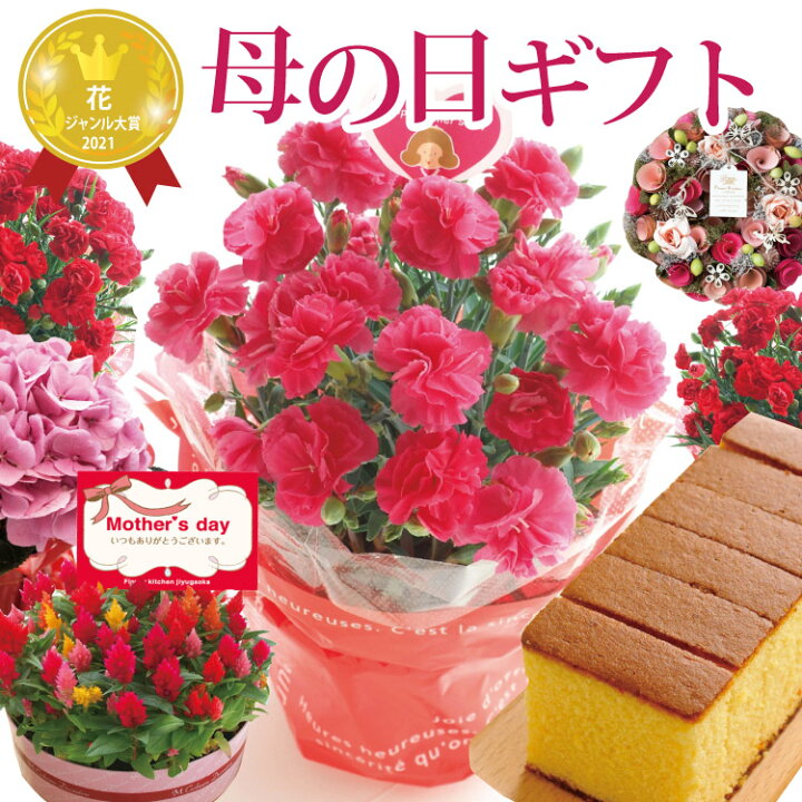 楽天市場 4 23 時 エントリーでポイント５倍 26日9時59分まで 2795円 母の日 プレゼント ギフト 花 と スイーツセットa 選べる5種類 花鉢 はちみつカステラのセット 母の日プレゼント 花ギフト カーネーション 鉢植え長崎和泉屋 カステラ お菓子 ギフトセット