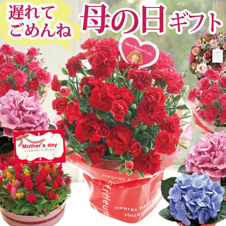 楽天市場 母の日 プレゼント 花 ギフト 選べる花鉢 リースカーネーション アジサイ ケイトウ アートフラワーリース 母の日ギフト 花鉢 鉢植え リース 5号 送料無料 一部地域を除く 22 Fkhh Fktk Flowerkitchenjiyugaoka 楽天市場 母の日 プレゼント 花 ギフト 選べる花鉢 リースカーネーション アジサイ ケイトウ アートフラワーリース 母の日ギフト 花鉢 鉢植え リース 5号 送料無料 一部地域を除く 22 Fkhh Fktk Flowerkitchenjiyugaoka