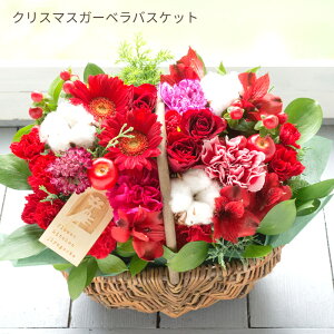 Iׂ13 G߂̃AW t[AWg NX}X  a  Mtg u[P o J[l[V AWg ԑ v[g t[Mtg   蕨 KN 