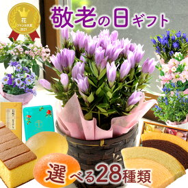 敬老の日 プレゼント ギフト 花 りんどう 鉢花 スイーツセット 鉢植え 花鉢 選べる りんどう トルコキキョウ ニオイザクラ 花とお菓子 はちみつカステラ 千疋屋クーヘン お菓子 敬老 フラワーギフト 送料無料 (一部地域を除く）【2025敬老の日】 FKKE