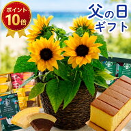 【ポイント10倍!!】父の日 花 ギフト プレゼント ひまわり花鉢 鉢植え 選べる 花とスイーツ 選べるセット…