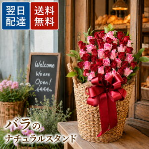 開店祝い 花 おしゃれ の人気商品一覧・価格比較