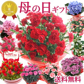 早割中！ 母の日 プレゼント 花 カーネーション 選べる花鉢 ギフト 鉢植え 生花 5号 花ギフト 花鉢 人気 おしゃれ 可愛い マーガレット あじさい ジャスミン 50代 60代 70代 ははの日 hahanohi 母 義母 祖母 フラワーキッチン 自由が丘 2025 FKHH